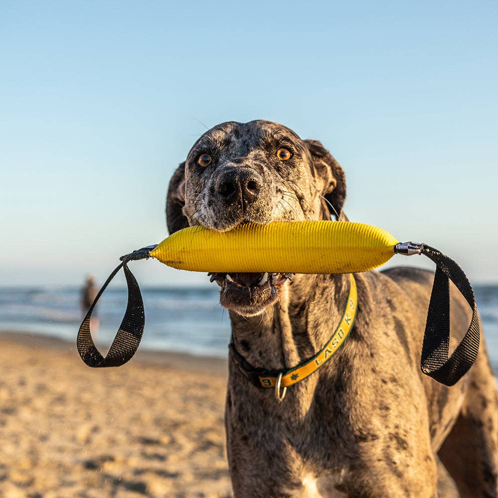 Best KB Double Tug Dog Tug Toy