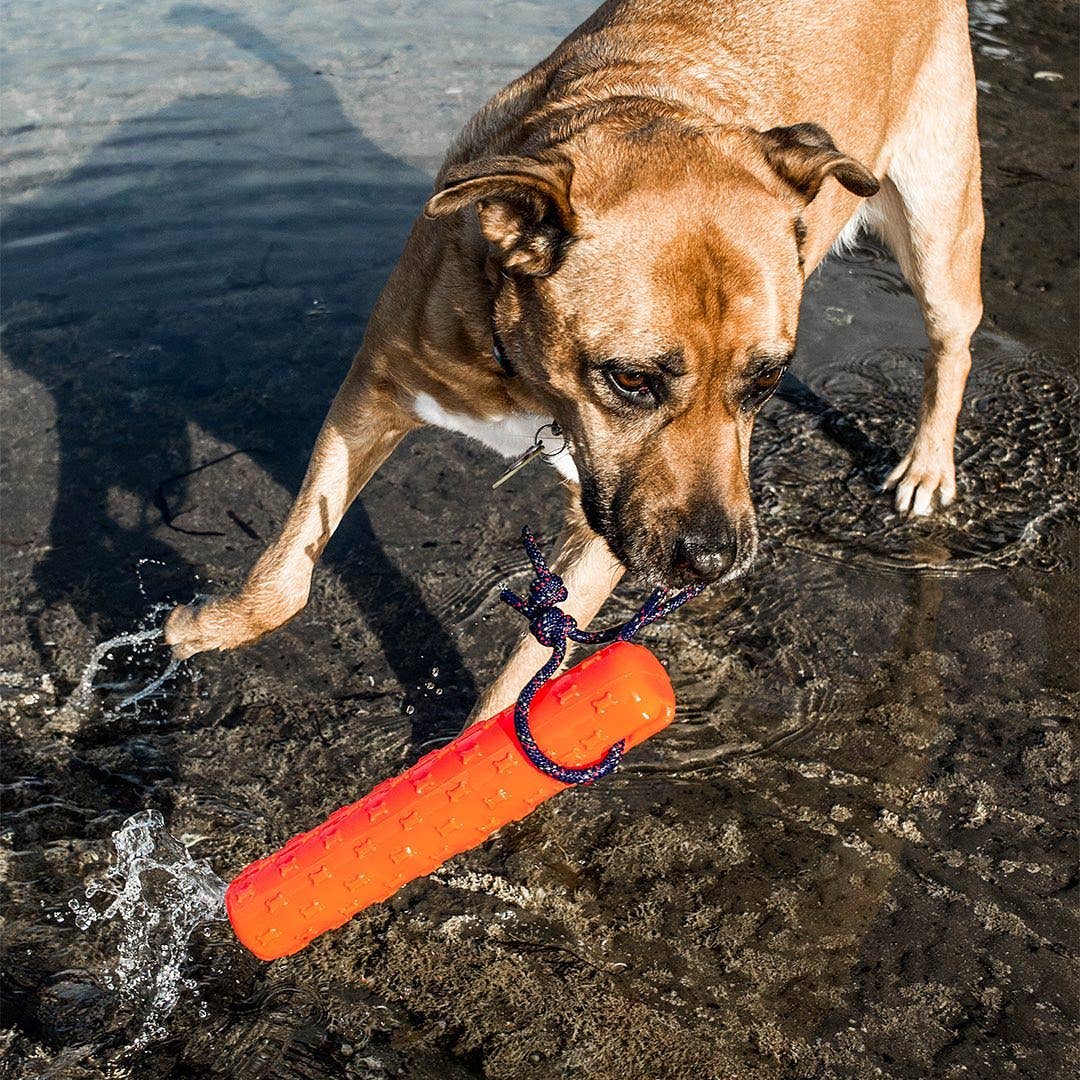 Best KB Original Bumper Dog Fetch Toy