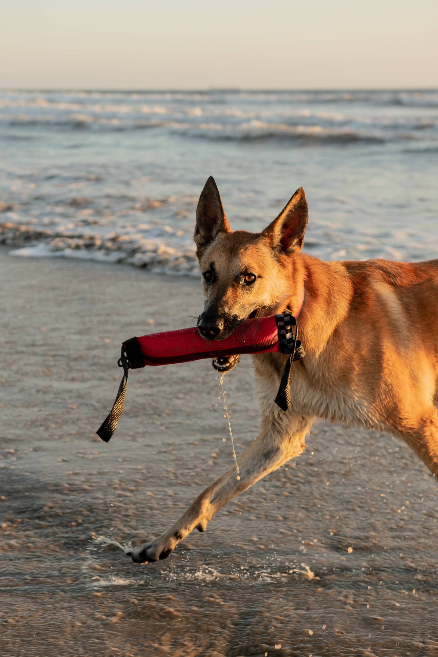 Best KB Double Tug Dog Tug Toy