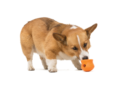 Toppl® Puzzle Treat-Dispensing Slow Feeder Dog Toy