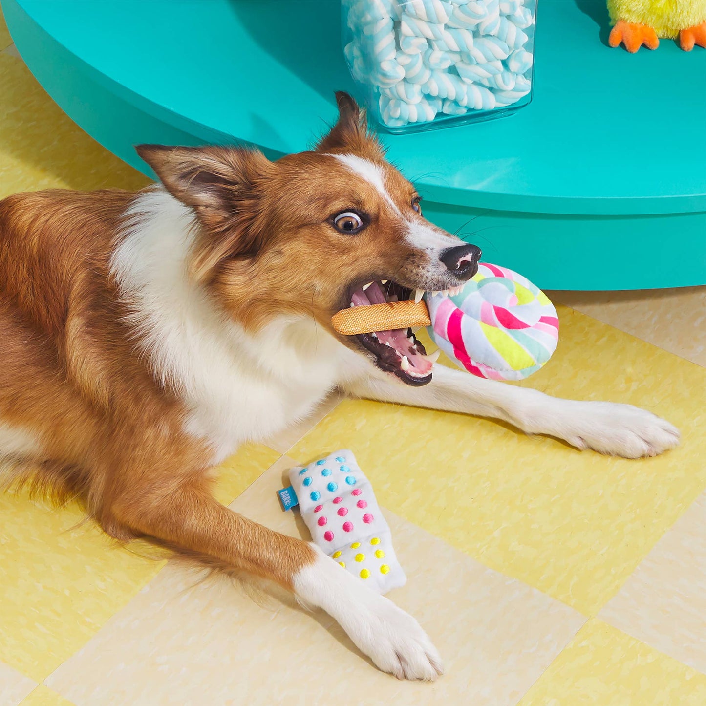 BARK Lollipop Plush Dog Toy