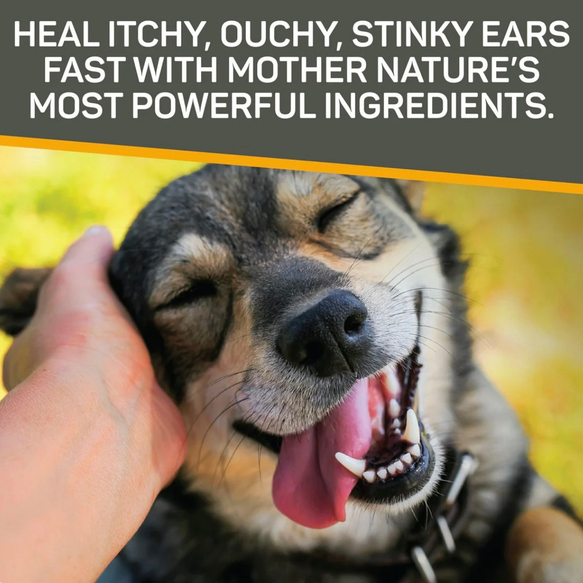 Silver Honey Rapid Ear Treatment