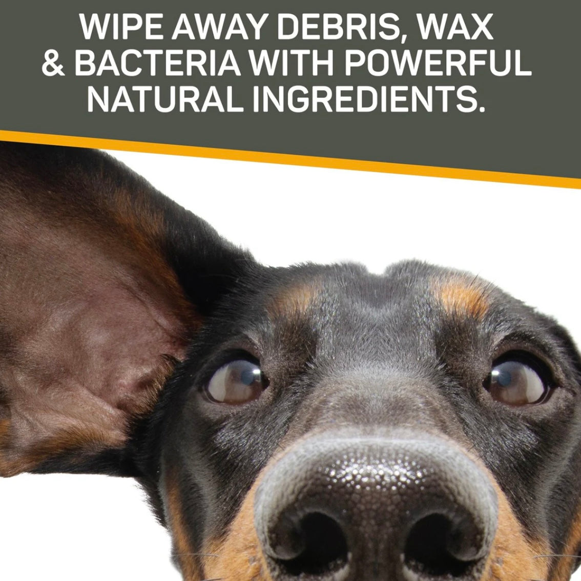 Rapid Ear Care Vet Strength Pet Wipes 50ct