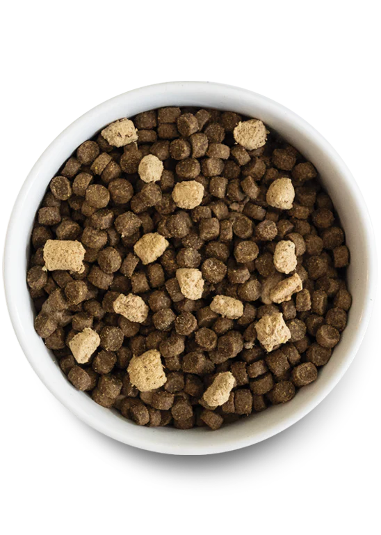 Tide & Terrain Ancient Grains Rawmix for Dogs