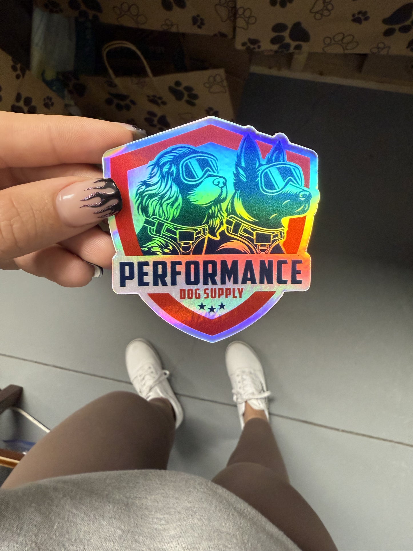 PDS Sticker Holographic