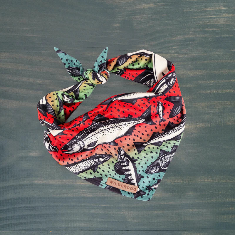 Gone Fishing Bandana