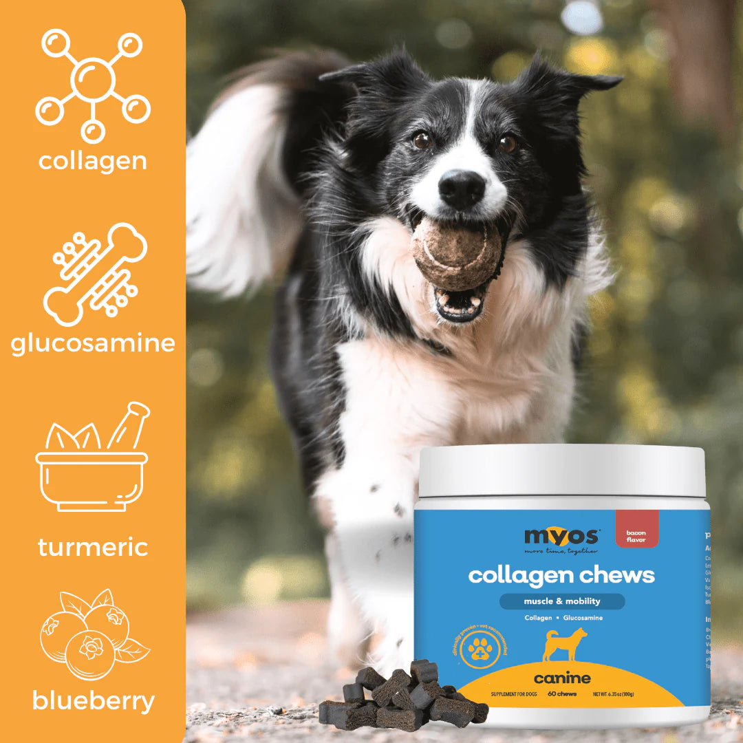 MYOS Canine Collagen Chews