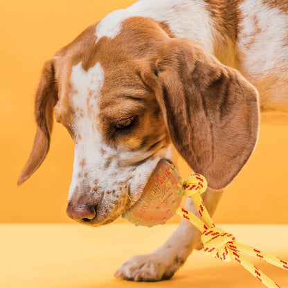 Solid Rubber Reward Ball on Rope