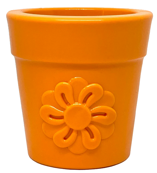 Soda Pup Flower Pot