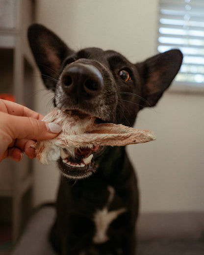 Dehydrated Rabbit Ears