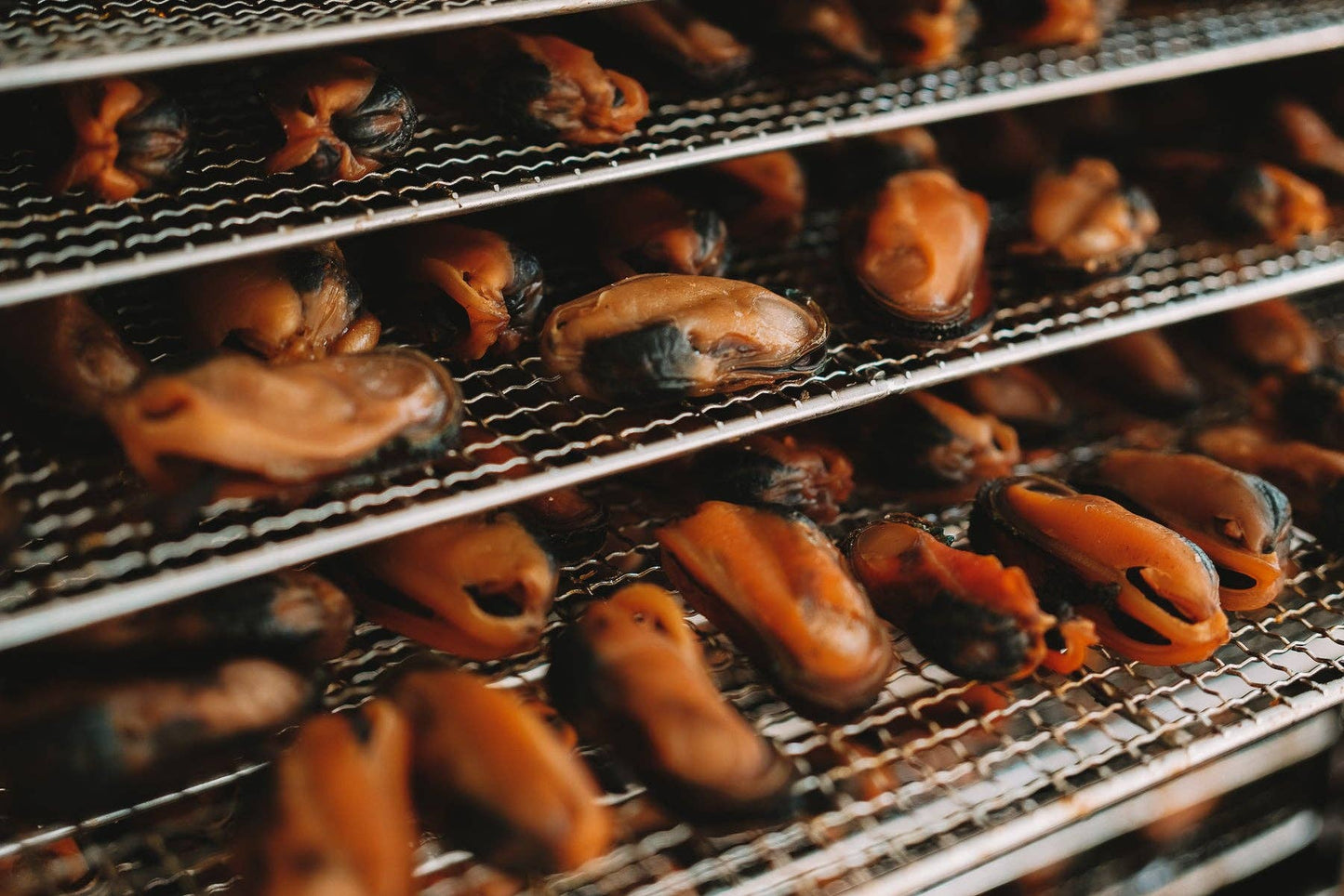 Dehydrated Green Lipped Mussels (NZ)