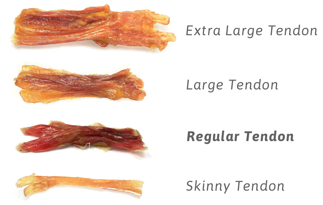 Large Beef Tendons